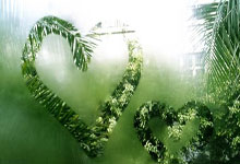 雷竞技网页版-赛前达拉斯独行侠备战NBA季后赛，刷新队史纪录细节曝光，球迷炸锅，控场能力受关注的简单介绍-雷竞技网页版